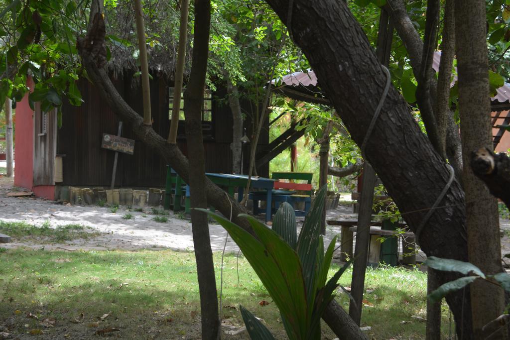 Imbassai Pousada Hostel Lujimba Dış mekan fotoğraf